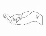 Premium Vector  Hand Drawn Outline hand human palm Line Art sketch template