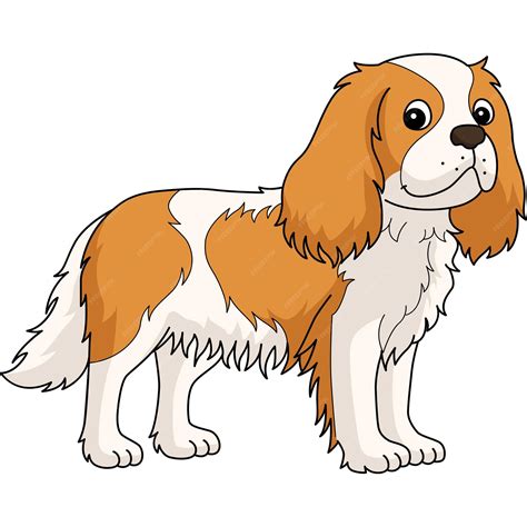 Premium Vector | Cavalier King Charles Spaniel Dog Cartoon Clipart