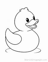 Duck Coloring Pages  22 Free Printable sketch template