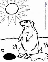 Groundhog Coloring Pages Sketch Page sketch template
