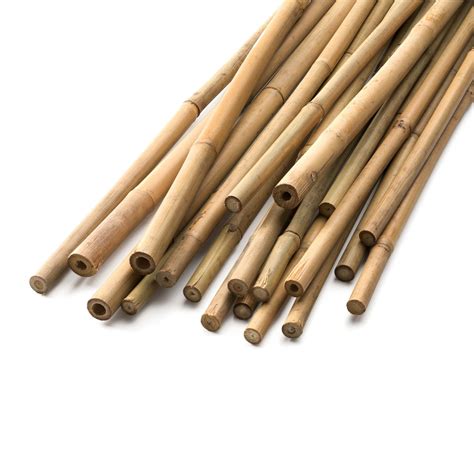 Bamboo sticks | Manufactum