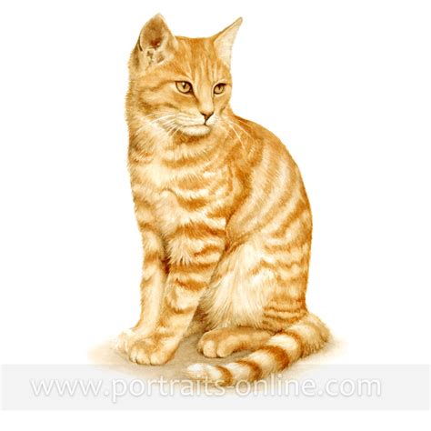 ginger-cat-portrait-in-watercolour - Portraits-Online.com