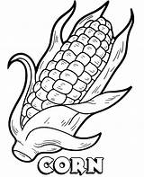 Printable Corn Coloring Page  Word Searches sketch template