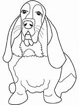 Coon Dog Coloring Pages At GetColoringscom  Free Printable Colorings sketch template