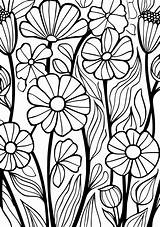 Coloring Sheets To Print  Page Pattern Patterns Flowers sketch template