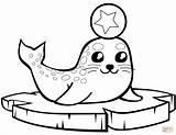 Baby Seal On An Ice Floe coloring page  Free Printable Coloring Pages sketch template