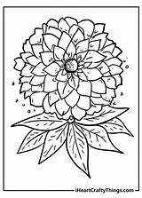 Big Flowers Coloring Pages  Best Flower Site sketch template
