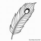 Peacock Feather Coloring Pages  Free & Printable sketch template