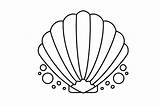 Sea Shells Coloring Page SVG Cut  By Creative Fabrica Crafts sketch template