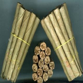 Plain Beedi,Plain Beedi Manufacturer & Exporter in Kanpur, India