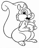 Print And Coloring Pages Squirrel  Dibujo De Ardilla sketch template