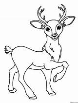 Minimal Realistic Reindeer Coloring Page » Turkau sketch template