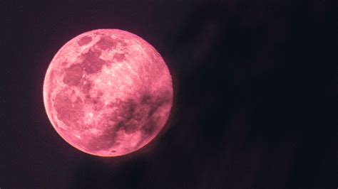 Full Pink Moon 2023: What Is It And How Will It Affect Your Zodiac?