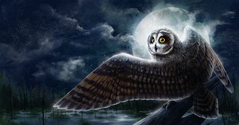 Photo owl bird Wings Moon Night Animals Painting Art 3000x1575