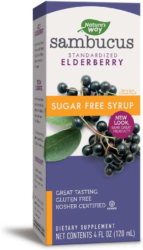 Top 10 Best Elderberry Brands - Healthtrends