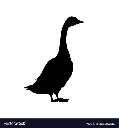 Black silhouette of goose isolated image vector image on VectorStock | Silhouette drawing, Bird ...