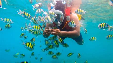 IS SCUBA DIVING BETTER THAN THIS ? ELEPHANT BEACH HAVELOCK ISLAND DAY 5 ...