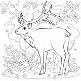 Bonito Alce Para colorear Imprimir E Dibujar –ColoringOnlyCom sketch template