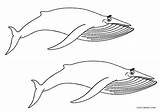 Printable Whale Coloring Pages For Kids sketch template