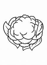 30  Cauliflower Coloring Pages Free Printable PDF JPG PNG & Online sketch template