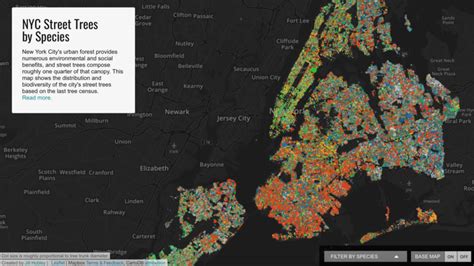 Nyc Digital Tax Map Library