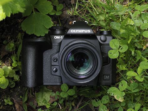 The Olympus OM-1 is amazing! These are my 5 reasons why | Digital Camera World