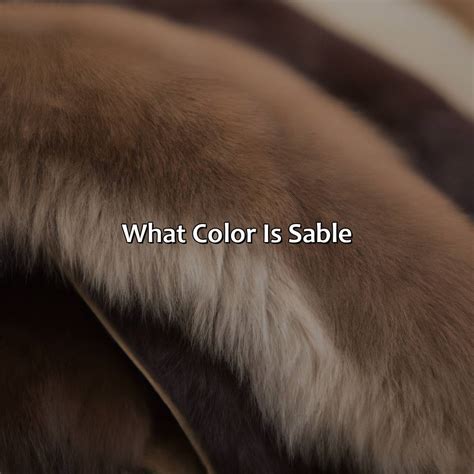 What Color Is Sable - colorscombo.com