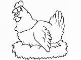 Chickens Hens And Roosters Coloring Pages sketch template