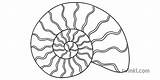 Coloring Ammonite Designlooter Fossil 58kb 233px Sketch Page sketch template