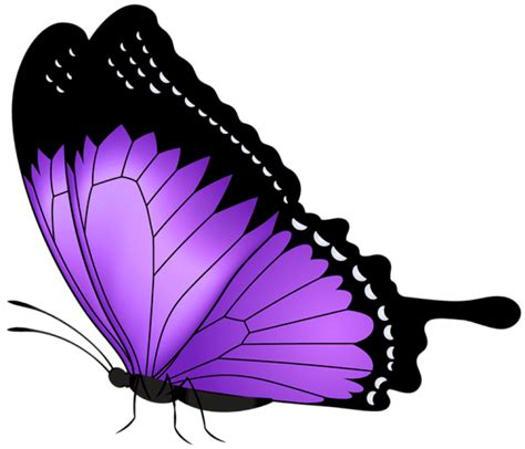 Transparent Purple Butterfly Png Picture Clipart Best Clipart Best | Images and Photos finder