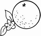 Two Oranges One Whole And The Other Cut It Pieces coloring Page  Free sketch template