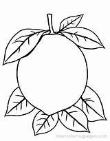 Lemon Coloring Pages  8 Free Printable sketch template