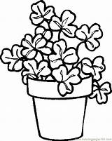 Plant Coloring Pages Printable sketch template