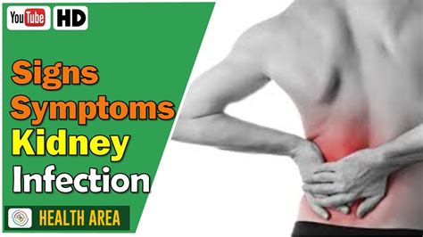 Kidney Symptoms Back Pain