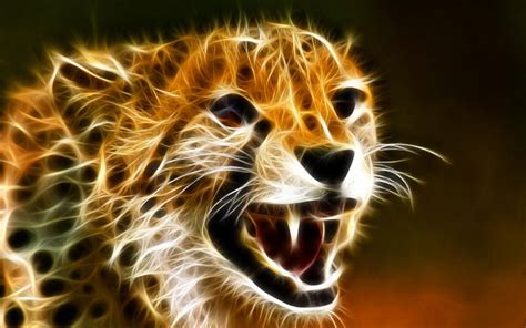 Rainbow Cheetah Wallpaper (63+ images)