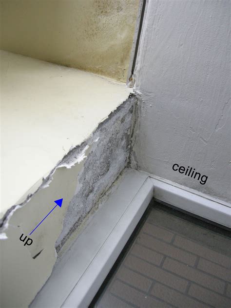 leak - 1lb of cure is worth 10 tons of mold: DIY repair of a poorly sealed window? lots of ...