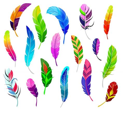 Premium Vector | Feather vector fluffy feathering quil and colorful feathery birds plume set of ...