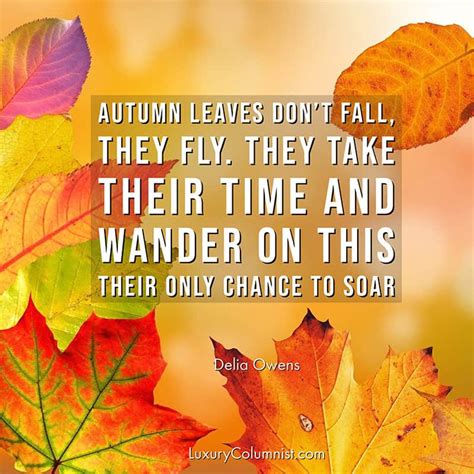 85+ Inspirational Fall Quotes | Short, Happy And Funny Autumn Sayings