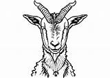 Goat Full Body Coloring Page · Creative Fabrica sketch template