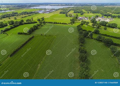 Drone Flight and Aerial View Over a Corn Field Stock Photo - Image of farm, drone: 123837140