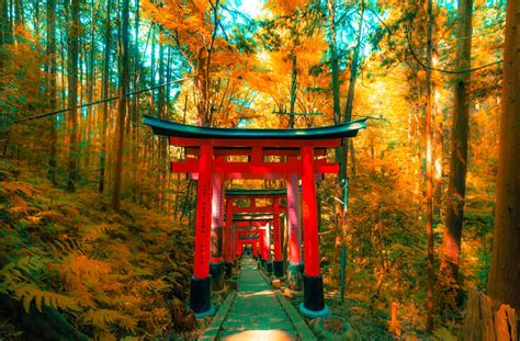 The Best Places to Visit in Kyoto – An Overview Per Area