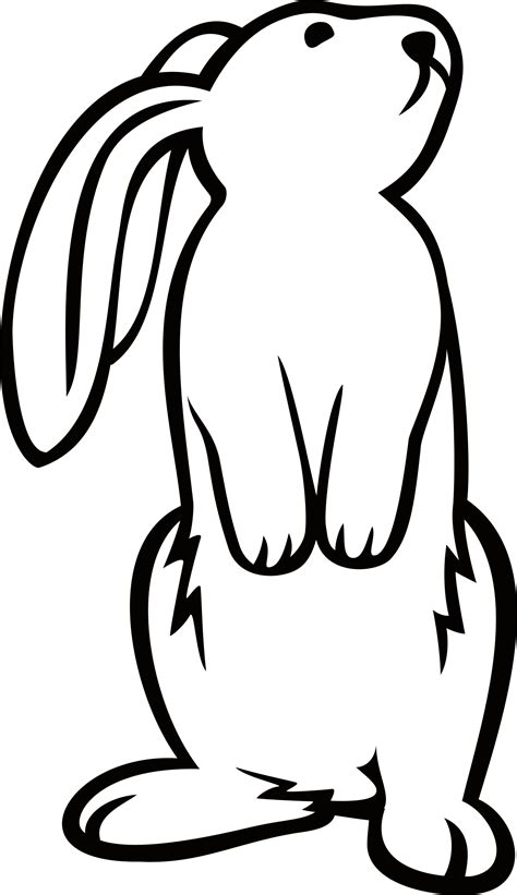 Bunny Outline Drawing | Free download on ClipArtMag