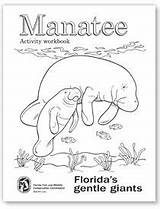 47  Free Printable manatee coloring Page DarrylEzmae sketch template