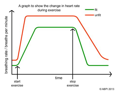 Factors affecting breathing