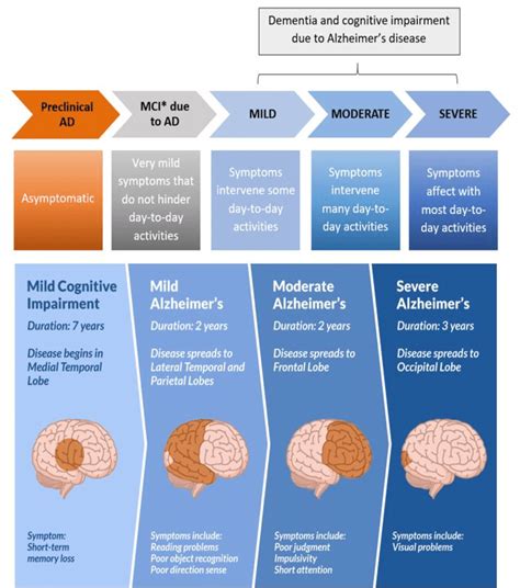 The progression of Alzheimer's disease from brain changes. | Download ...