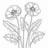 Buttercup coloring Pages – Coloring Corner sketch template