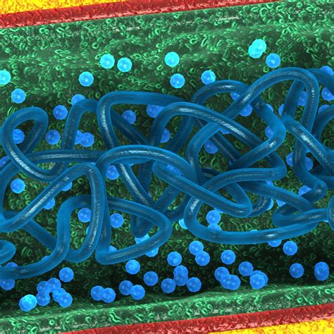 bacterial cell 3d model