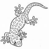 Leopard Gecko 3 Färbung Seite  Kostenlose Druckbare Malvorlagen Für Kinder sketch template