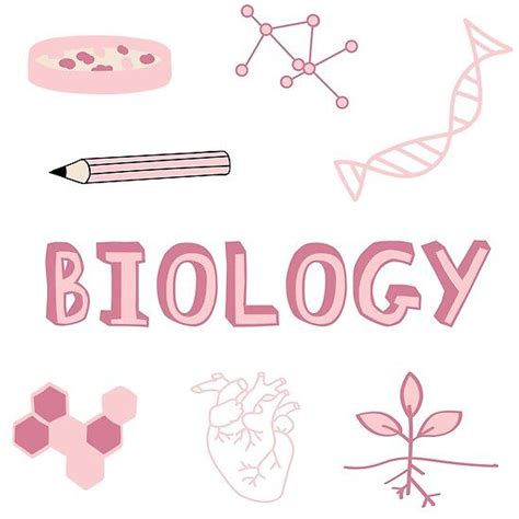 "Pink Biology Subject Pack" Poster for Sale by The-Goods | School binder covers, Biology ...