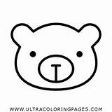 Big Bear Coloring Pages  Ultra sketch template